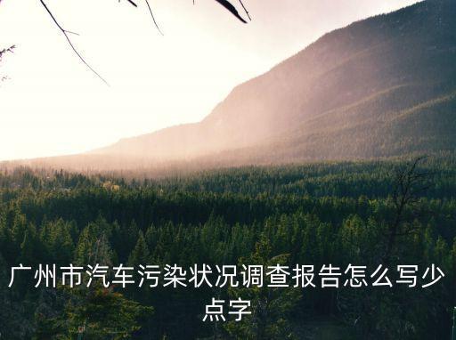 廣州空氣調查報告，廣州市汽車污染狀況調查報告怎么寫少點字
