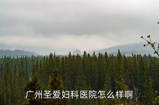 廣州圣高測控，廣州圣愛婦科醫院怎么樣啊