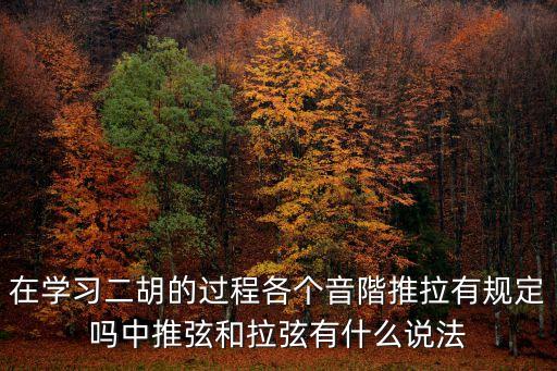 在學習二胡的過程各個音階推拉有規定嗎中推弦和拉弦有什么說法