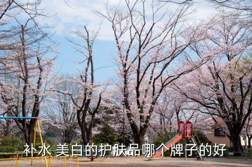 補水 美白的護膚品哪個牌子的好