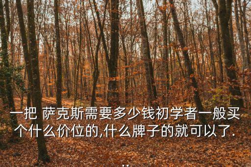 薩克斯介紹,薩克斯風由得利時人發明
