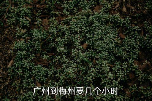 廣州到梅州要幾個小時