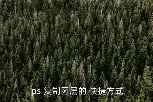 ps復制快捷鍵,PS復制快捷鍵? PS填充前景色和后景色快捷鍵?