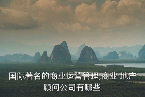 國際著名的商業運營管理,商業 地產顧問公司有哪些