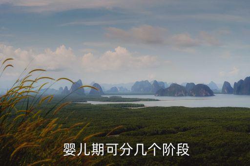 嬰兒發育過程,懷孕期間嬰兒發育過程