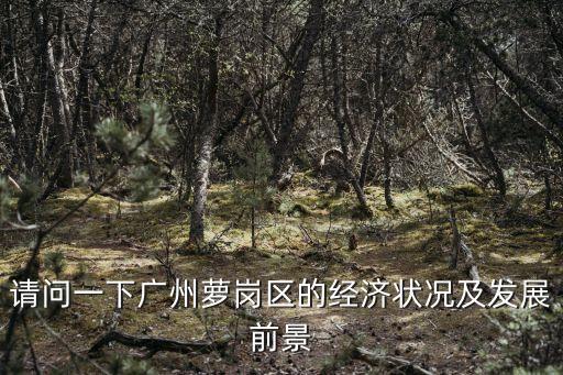 廣州蘿崗前景，蘿崗有錢人多嗎還是打工的人多經濟發展得如何在那邊有發展嗎