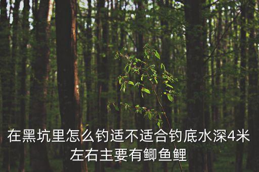 在黑坑里怎么釣適不適合釣底水深4米左右主要有鯽魚(yú)鯉