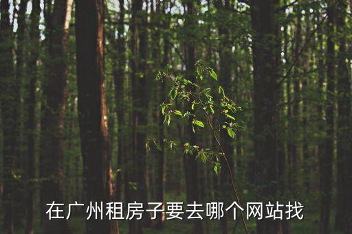 廣州房子網(wǎng)址，目前廣州比較好的房產(chǎn)網(wǎng)站有哪些