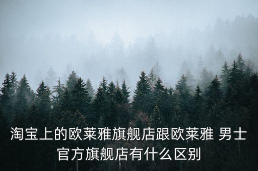 淘寶上的歐萊雅旗艦店跟歐萊雅 男士官方旗艦店有什么區別