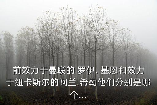 前效力于曼聯的 羅伊. 基恩和效力于紐卡斯爾的阿蘭.希勒他們分別是哪個...