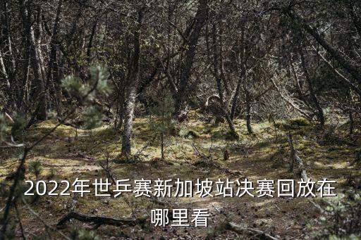 世錦賽乒乓球直播,可看tiktok和西瓜直播回放