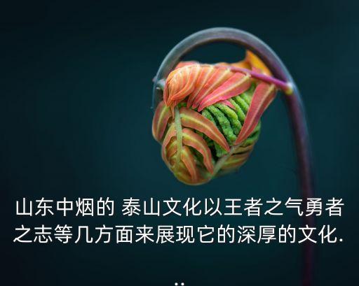 山東中煙的 泰山文化以王者之氣勇者之志等幾方面來展現它的深厚的文化...