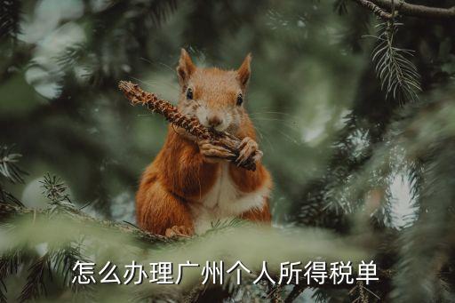 怎么辦理廣州個人所得稅單