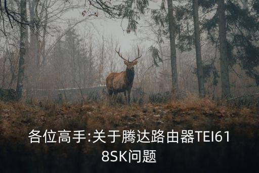 各位高手:關于騰達路由器TEI618SK問題