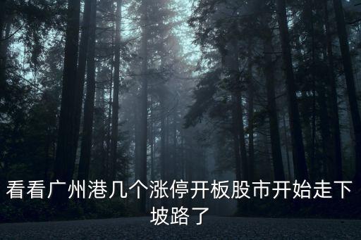 廣州港能有幾個漲停板，收到短信中簽了大家說一下能有幾漲停
