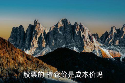 股票持倉
