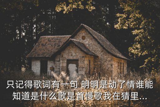只記得歌詞有一句 明明是動了情誰能知道是什么歌是首慢歌我在猜里...