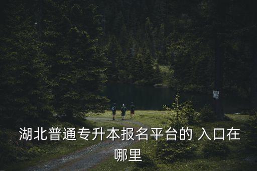  湖北普通專升本報(bào)名平臺(tái)的 入口在哪里