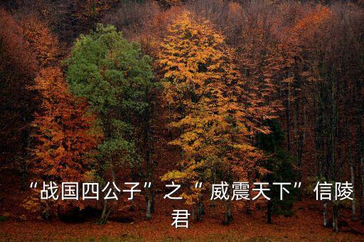 “戰(zhàn)國(guó)四公子”之“ 威震天下”信陵君