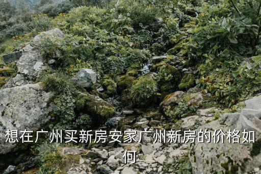 想在廣州買新房安家廣州新房的價格如何