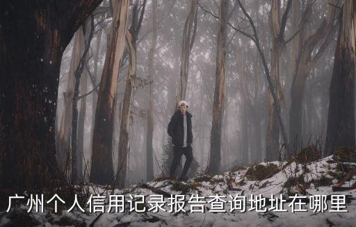 廣州個人信用記錄報告查詢地址在哪里