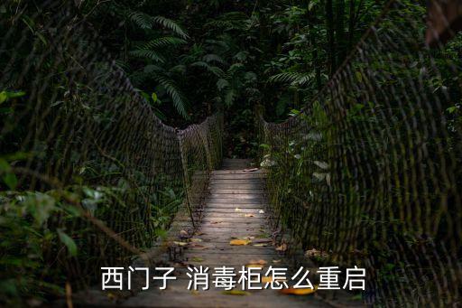 西門子消毒柜,西門子消毒柜怎么用?