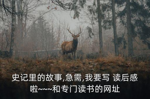 花木蘭讀后感