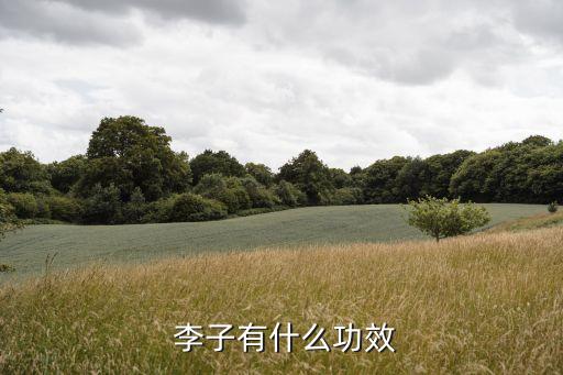 空腹吃李子,李子吃李子的禁忌