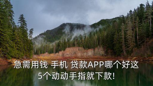 手機貸款app,不看征信借款5000馬上到賬的