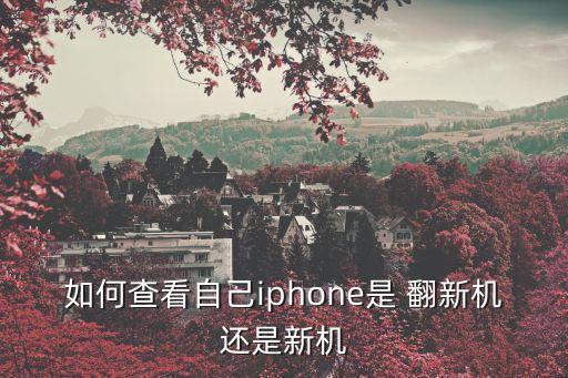 蘋(píng)果翻新機(jī),蘋(píng)果手機(jī)是否為翻新機(jī)?