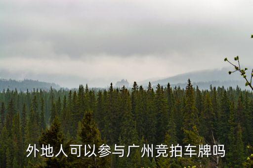 廣州拍牌外地人，外地人怎樣能拍廣州車牌嗎