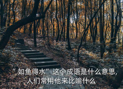 “ 如魚得水”這個成語是什么意思,人們常用他來比喻什么