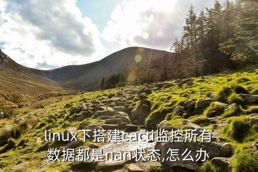 rrdtool,用rrdtooltune命令設rrd文件最大和最小參數值