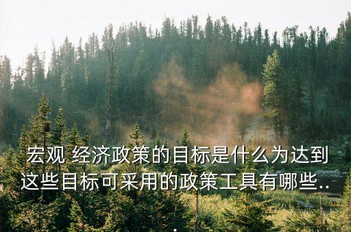  宏觀 經濟政策的目標是什么為達到這些目標可采用的政策工具有哪些...