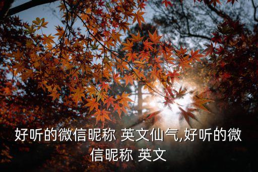 好聽的微信昵稱 英文仙氣,好聽的微信昵稱 英文