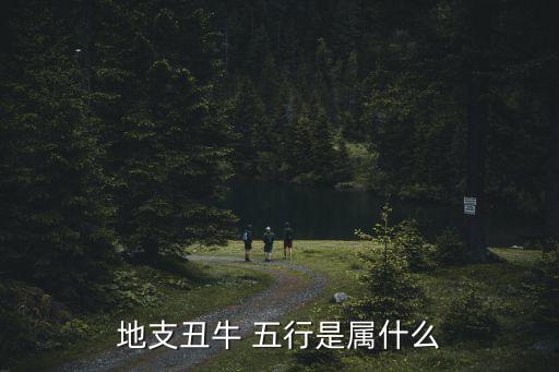 地支丑牛 五行是屬什么