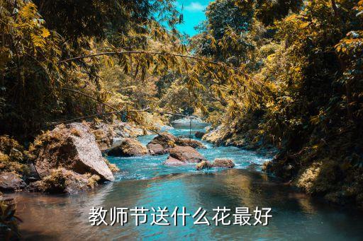 一束花圖片,天人菊花語:團結就是力量象征