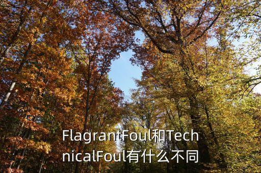 FlagrantFoul和TechnicalFoul有什么不同