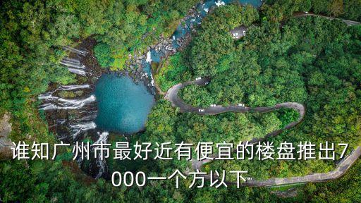 誰知廣州市最好近有便宜的樓盤推出7000一個(gè)方以下