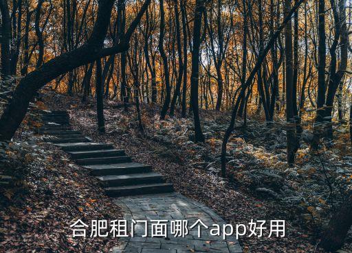  合肥租門面哪個app好用
