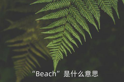 beach怎么讀,sea怎么讀英語