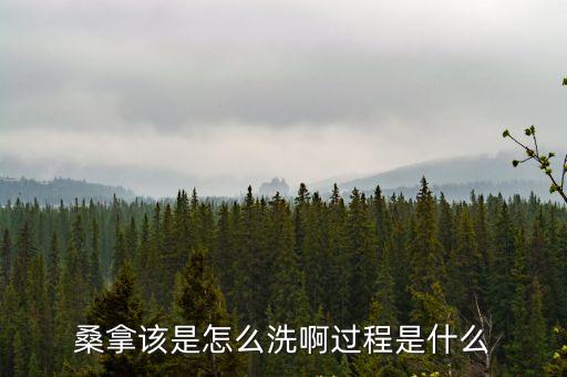 桑拿該是怎么洗啊過程是什么