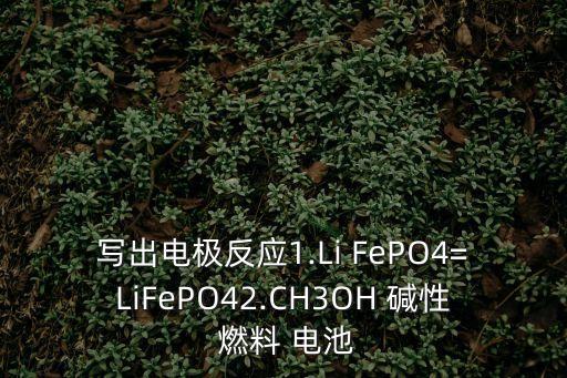 堿性燃料電池,燃料電池正負極反應式寫法不同