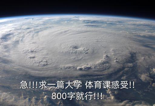體育課感想,高中三年體育課感想