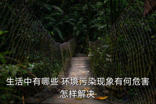 環(huán)境污染與治理,家鄉(xiāng)環(huán)境污染與治理