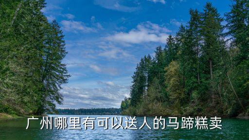 廣州哪里的馬蹄糕好吃，廣州哪里有可以送人的馬蹄糕賣