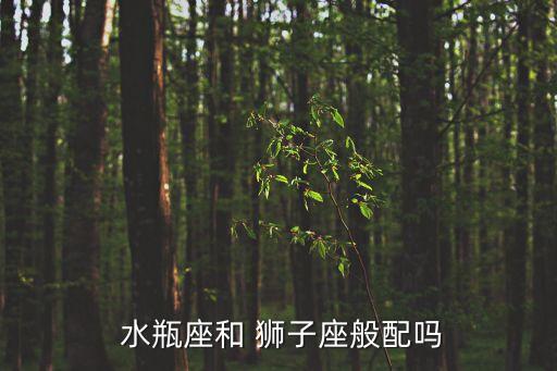  水瓶座和 獅子座般配嗎