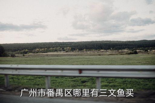 廣州市番禺區(qū)哪里有三文魚買