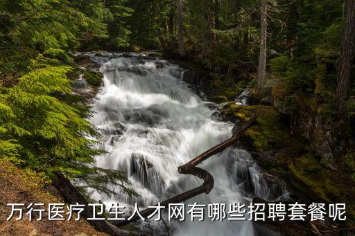 萬行醫療衛生人才網有哪些招聘套餐呢