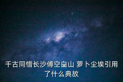 千古同惜長沙傅空白山 蘿卜塵埃引用了什么典故